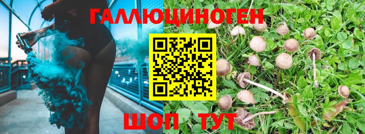 Псилоцибиновые грибы мухоморы Новодвинск
