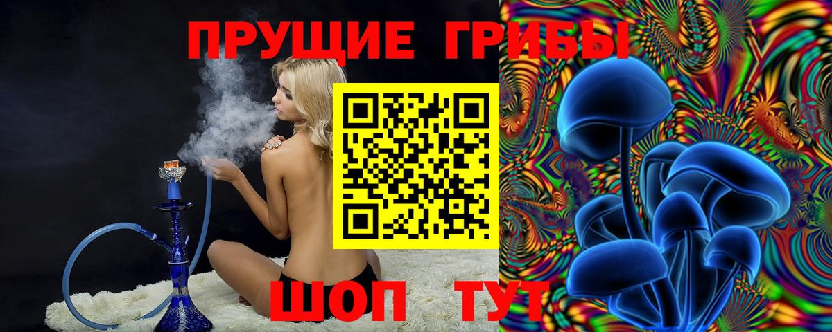 Псилоцибиновые грибы мицелий  Псилоцибиновые грибы MAGIC MUSHROOMS  Вход с VPN  Новодвинск 