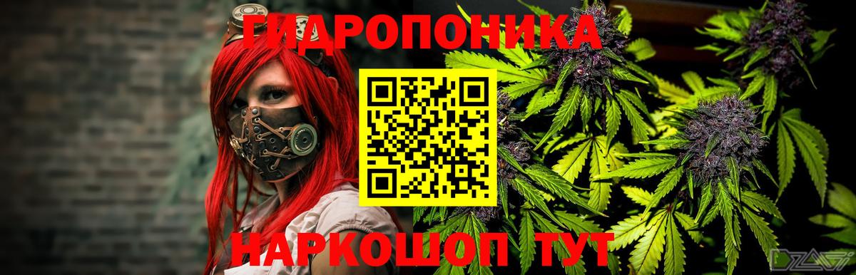 Новодвинск  Канабис тримм  Вход с VPN  Каннабис VHQ 